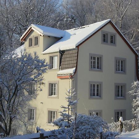 Pytloun Penzion Zeleny Haj Liberec Ngoại thất bức ảnh